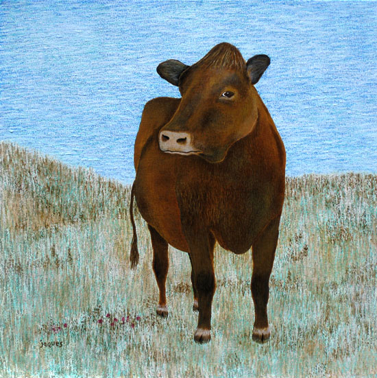 Cow